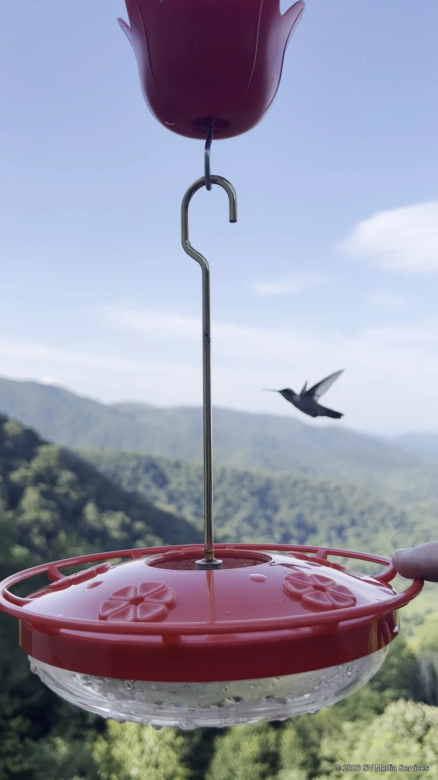 A hummingbird hovers beside a feeder with mountain ridges in the distance.