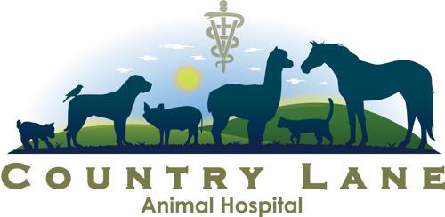Country Lane Animal Hospital logo